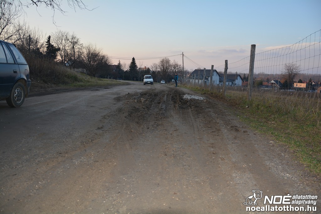 dsc_0208_2.jpg
