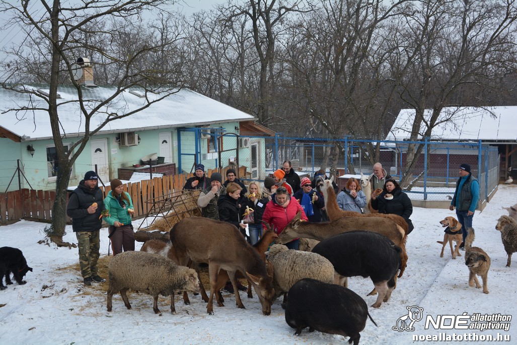 dsc_0446_4.jpg