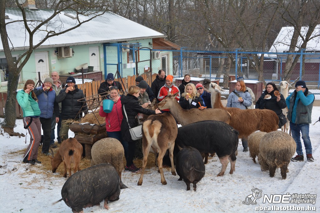 dsc_0466_4.jpg