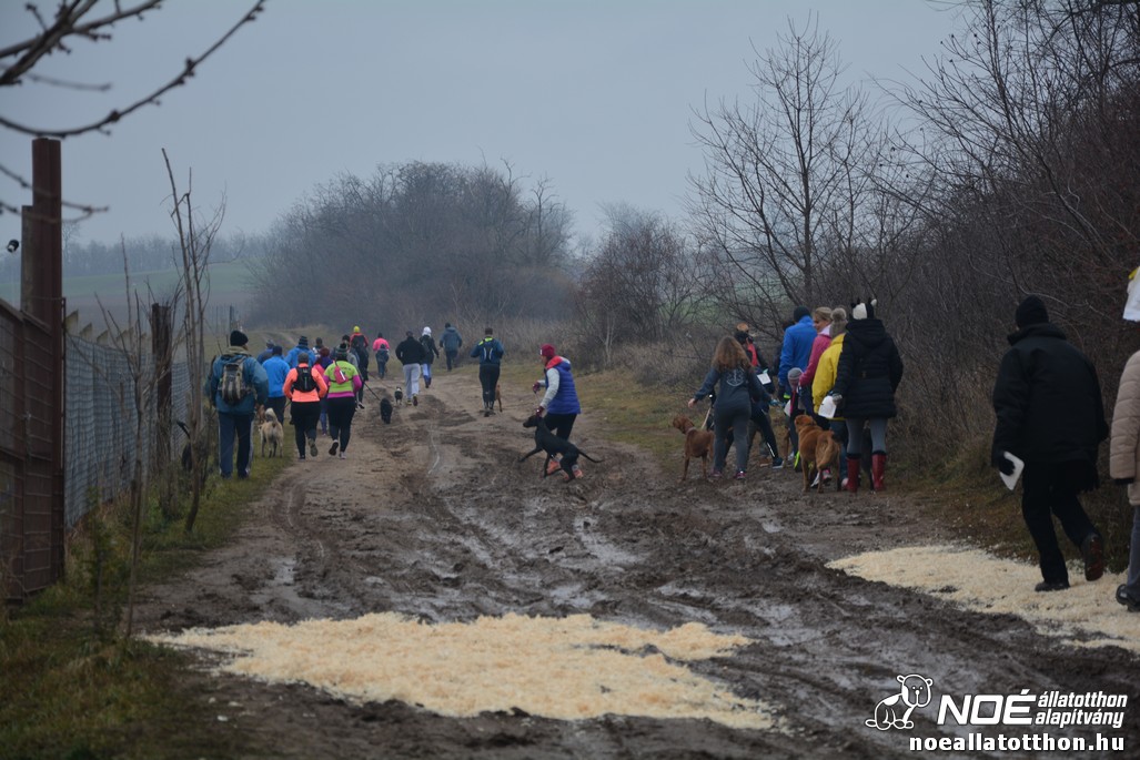 dsc_0790.jpg