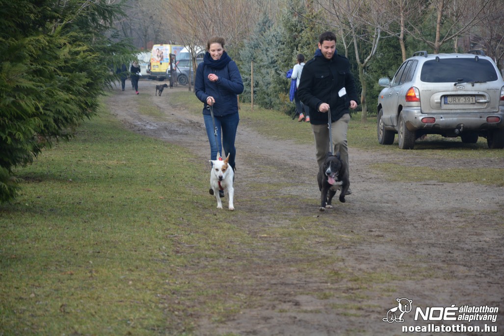 dsc_0953.jpg