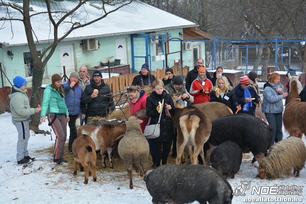 dsc_0472_2.jpg