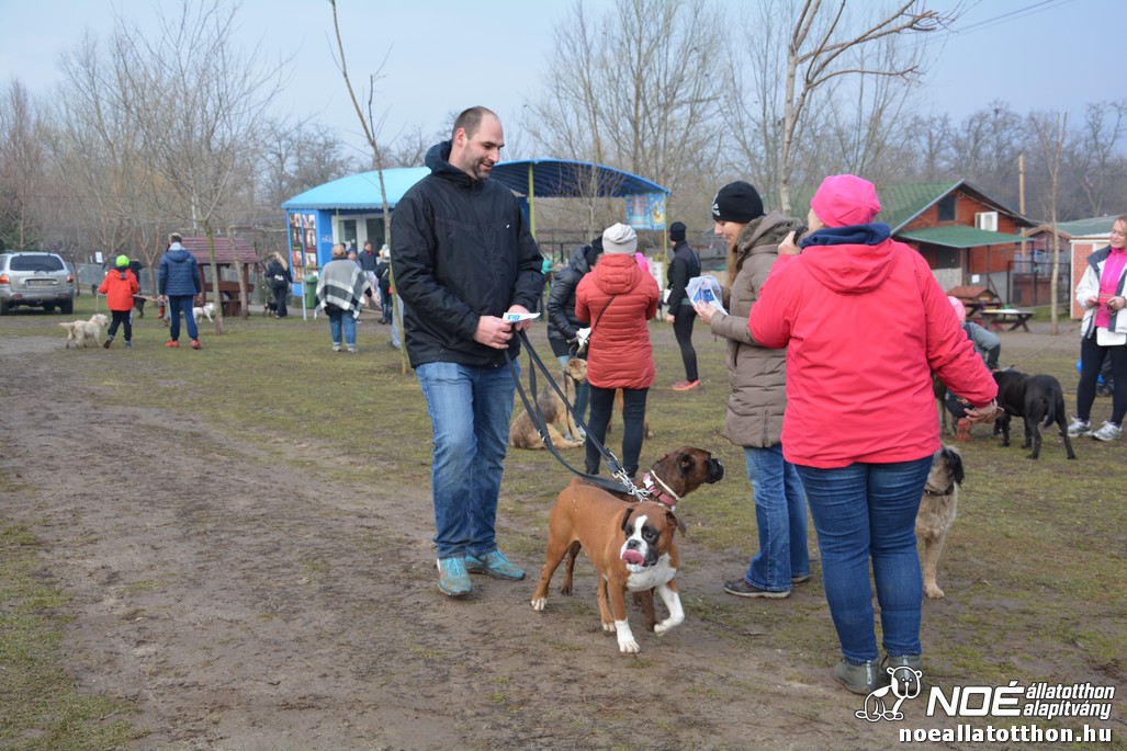 dsc_0947.jpg