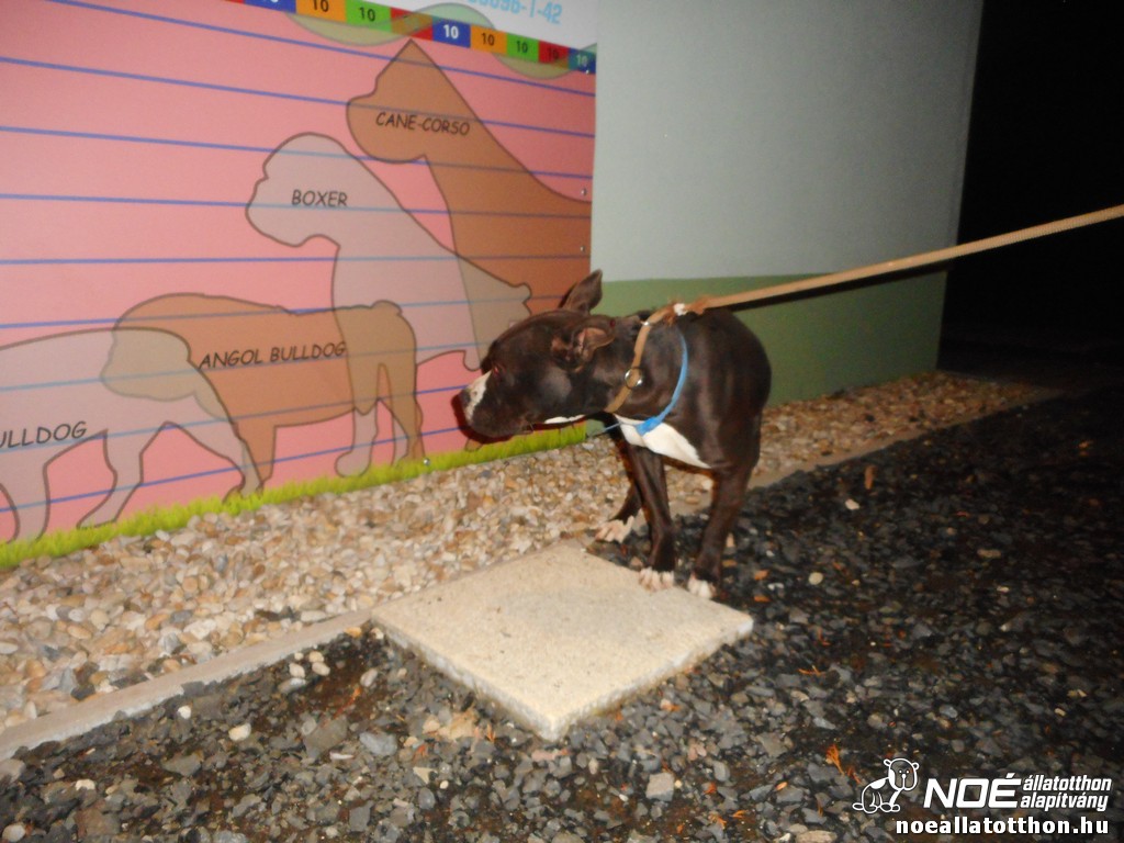 dscn7095.jpg
