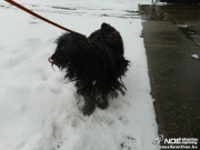 dscn7588.jpg