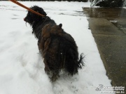 dscn7589.jpg