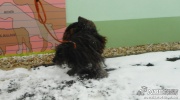 dscn7590.jpg