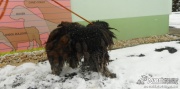 dscn7592.jpg