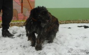 dscn7597.jpg