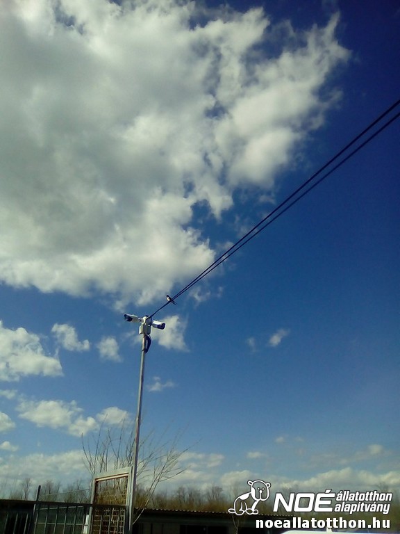 29920084_347099729031315_1683070155_n.jpg