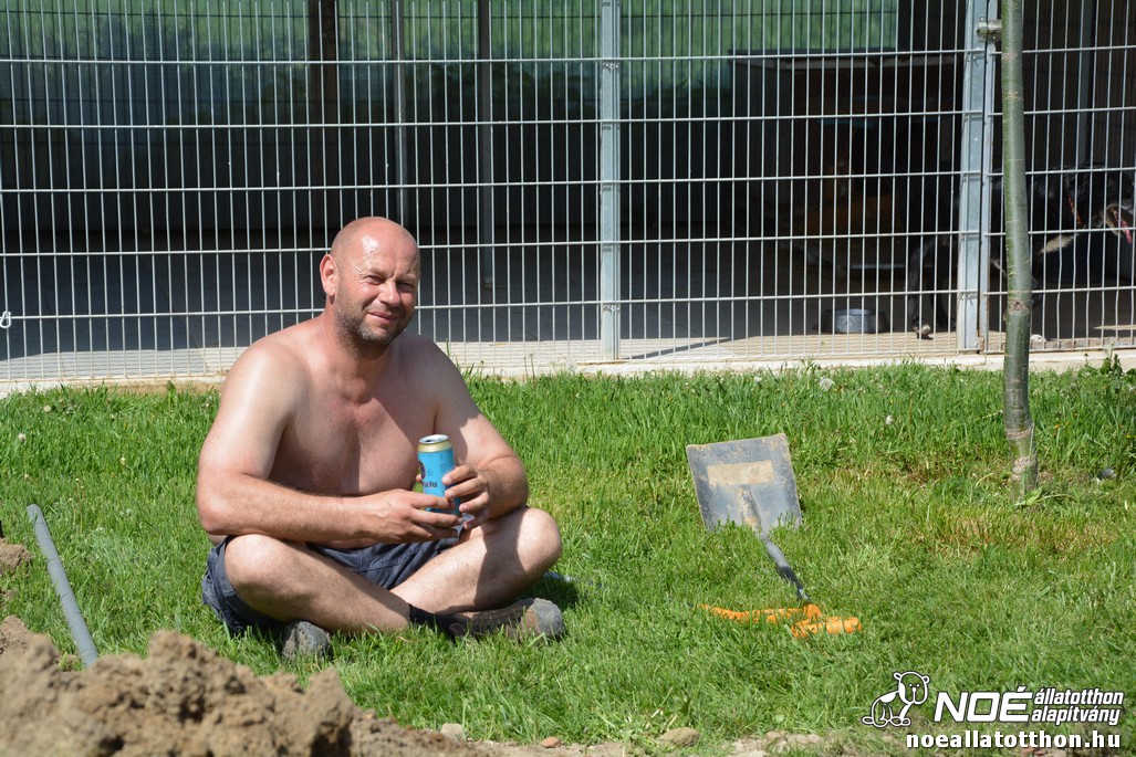 dsc_0011_2.jpg