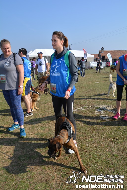 dsc_3698.jpg