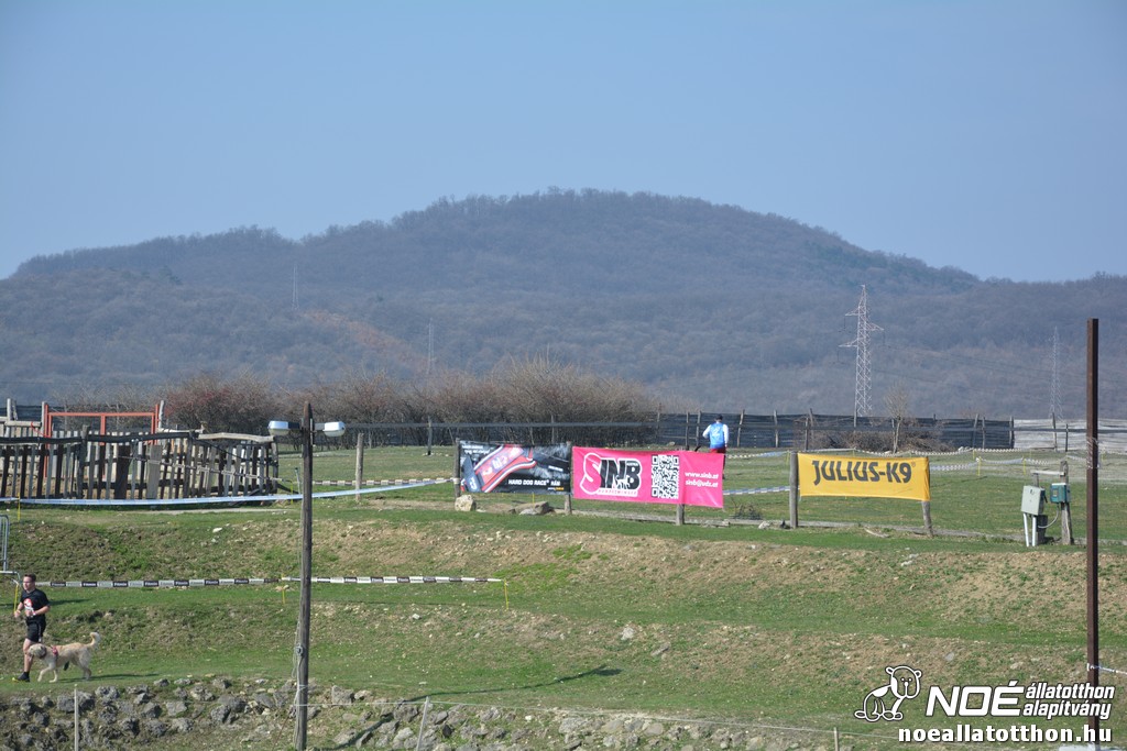 dsc_3726.jpg