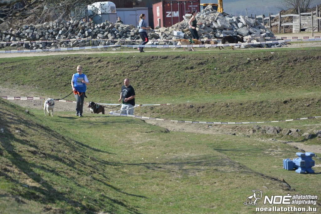 dsc_3735.jpg