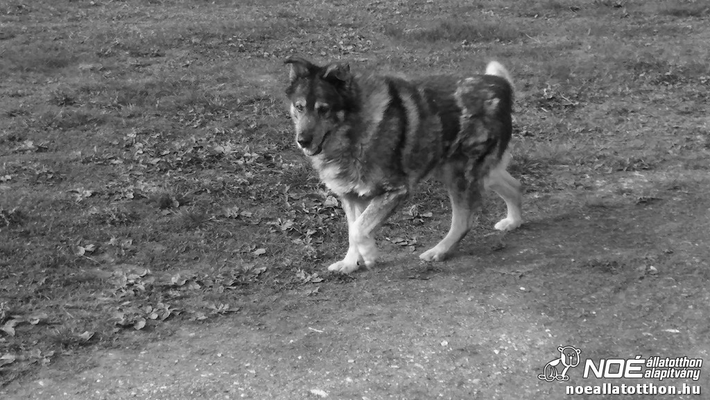 20170409_160909_3_2.jpg