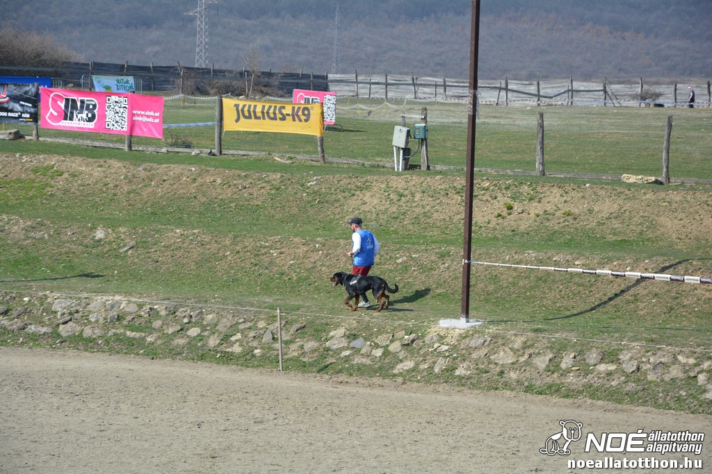dsc_0006.jpg