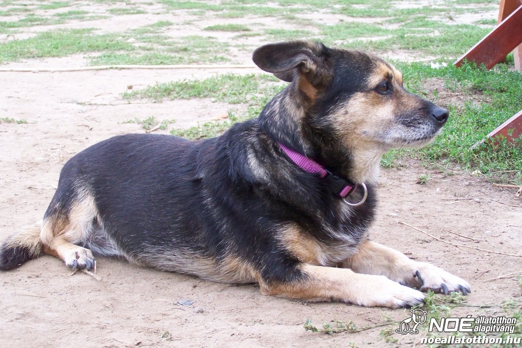 100_4729.jpg