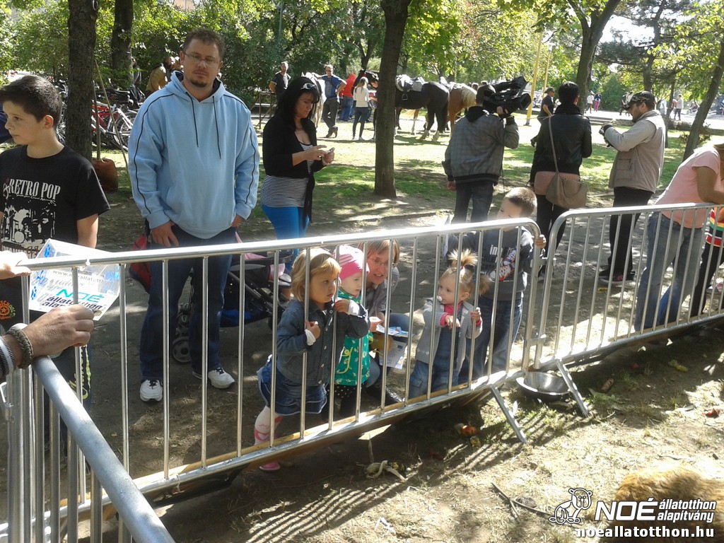 20130921_131443.jpg