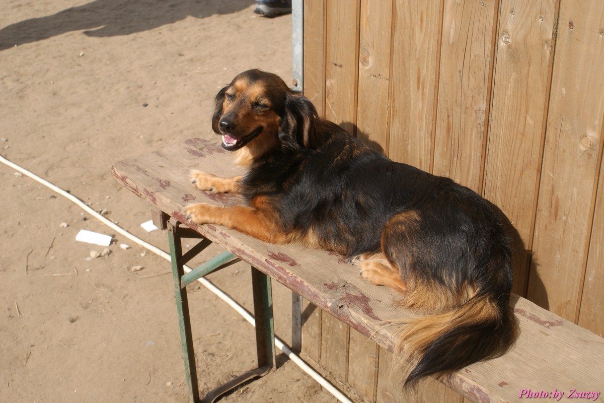 DSC01610.jpg