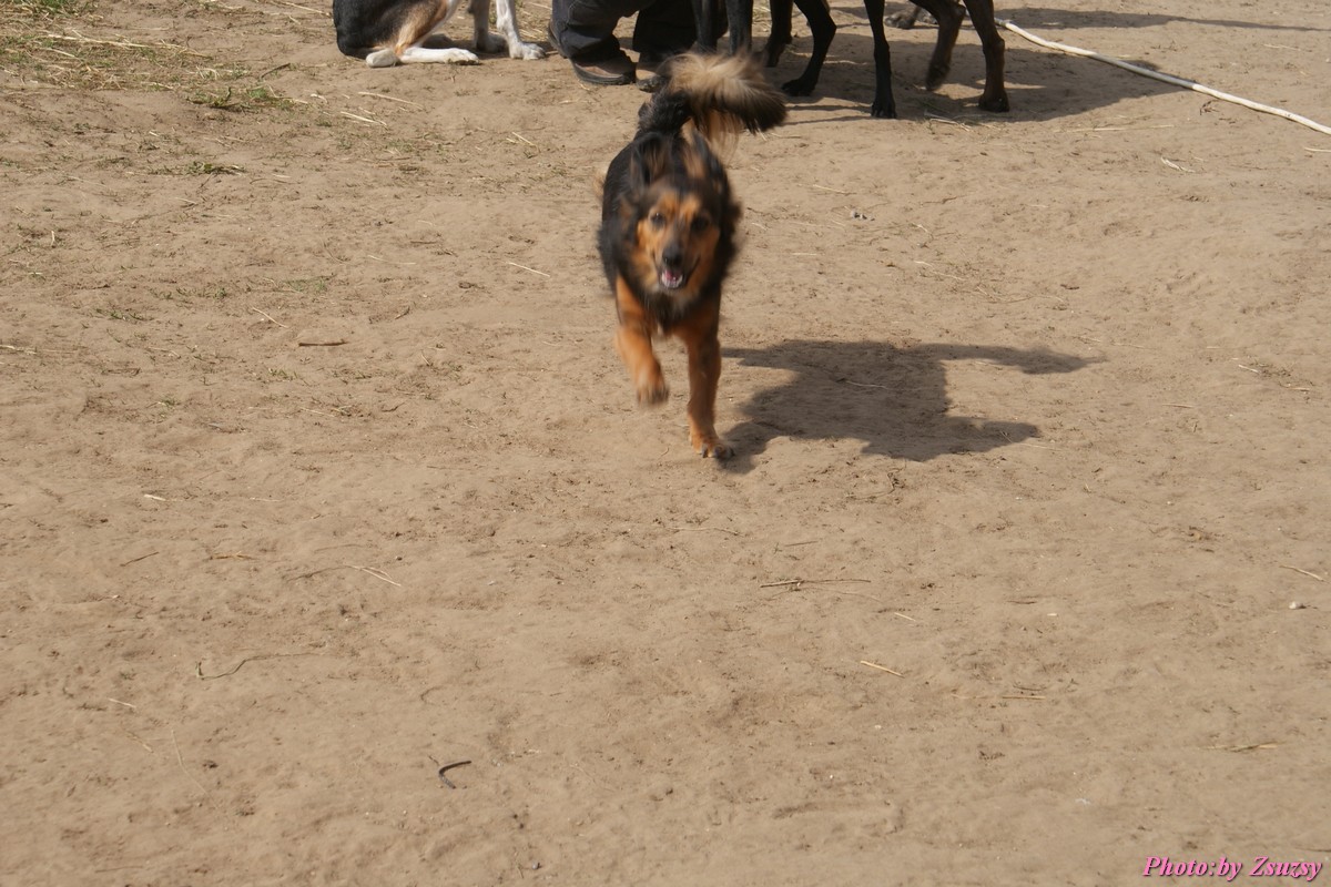 DSC01626.jpg