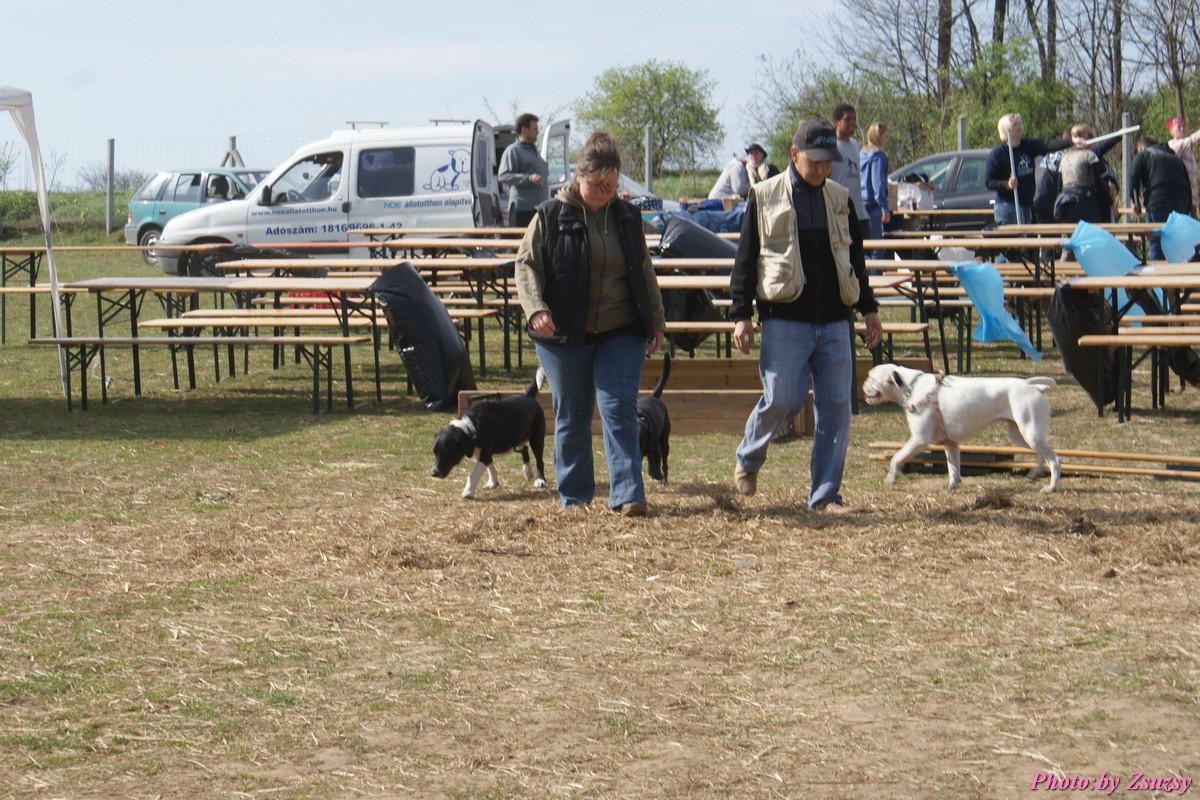 DSC01627.jpg