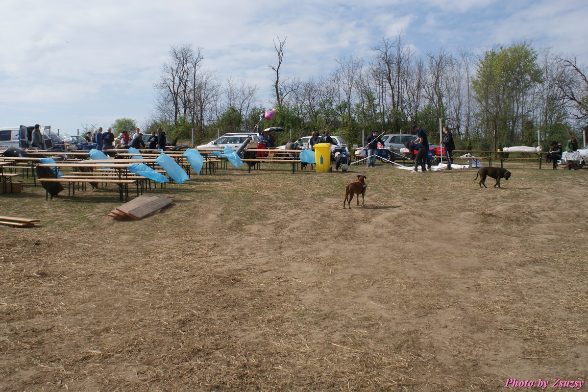 DSC01628.jpg