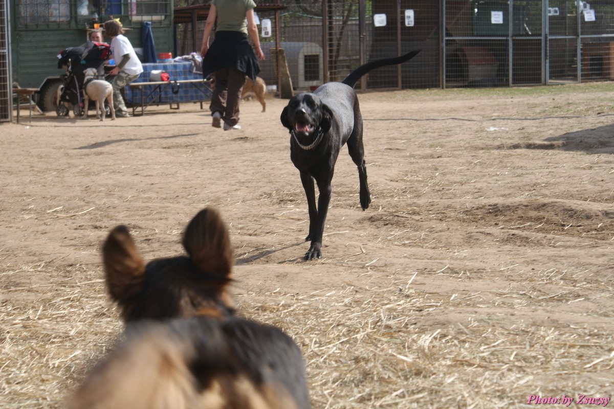 DSC01661.jpg