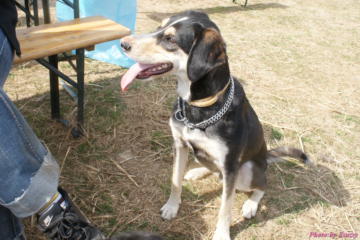 DSC01745.jpg