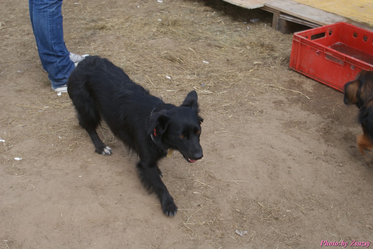 DSC01921.jpg
