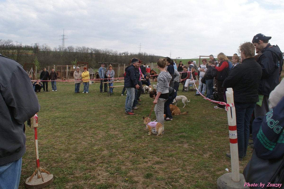 DSC02194.jpg