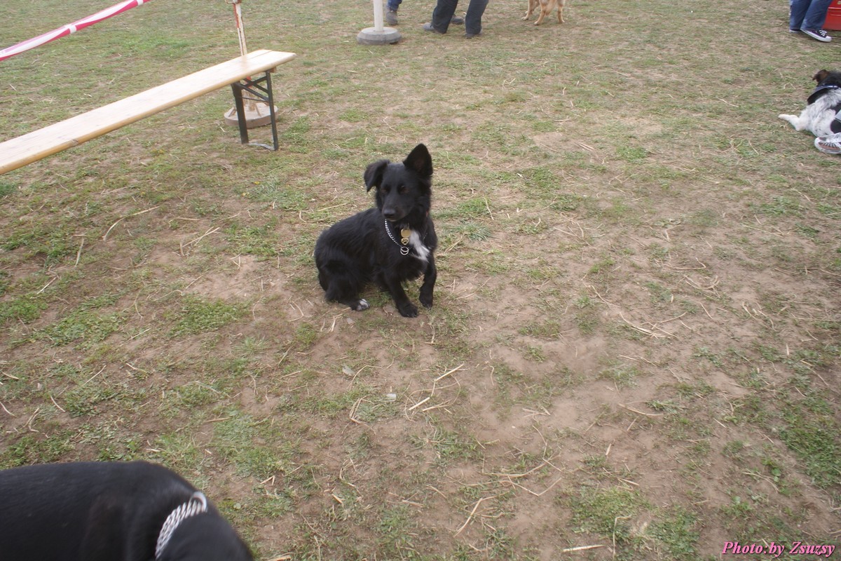 DSC02308.jpg