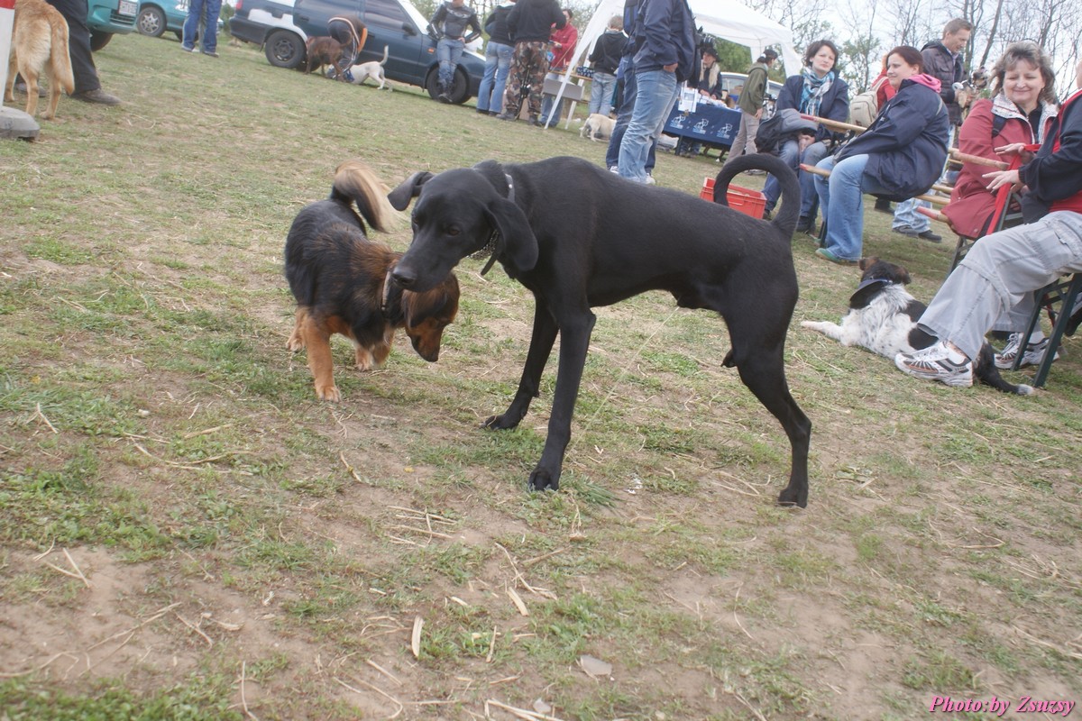 DSC02324.jpg