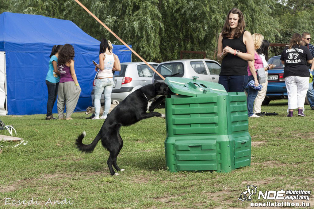 _mg_6674.jpg