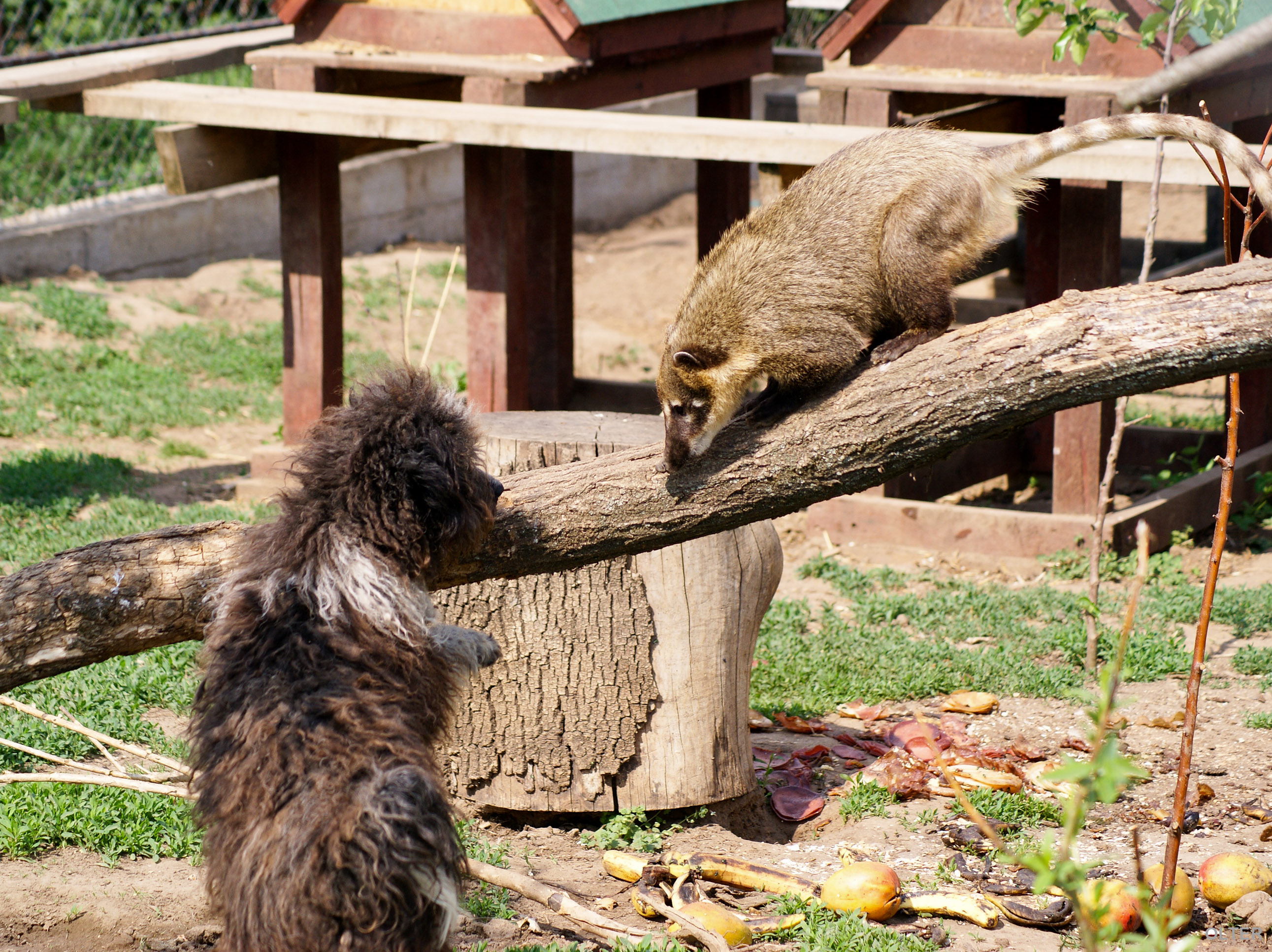 dsc00083_2.jpg