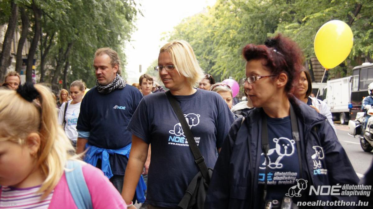 dsc00215_1200x675.jpg