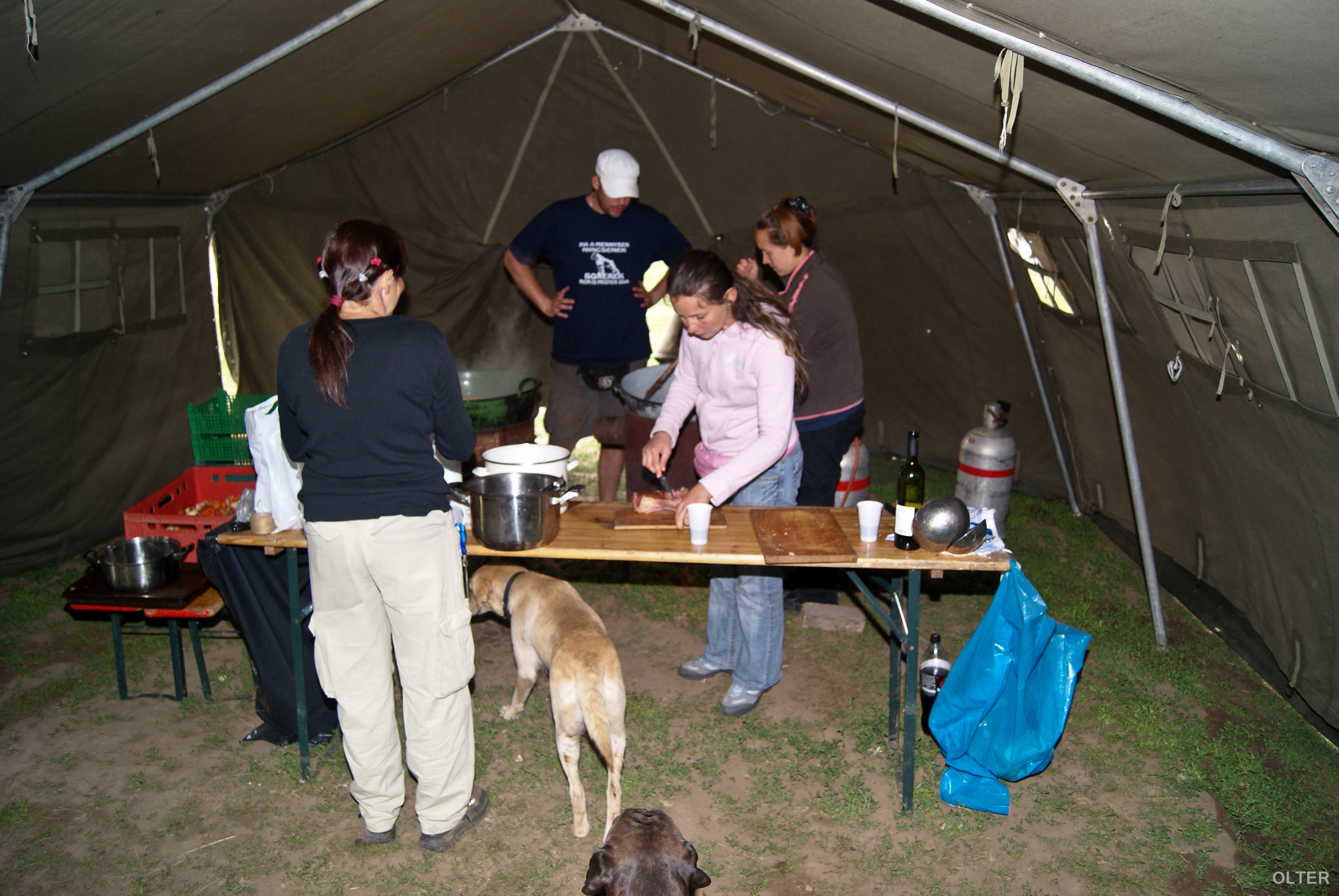 dsc00727.jpg
