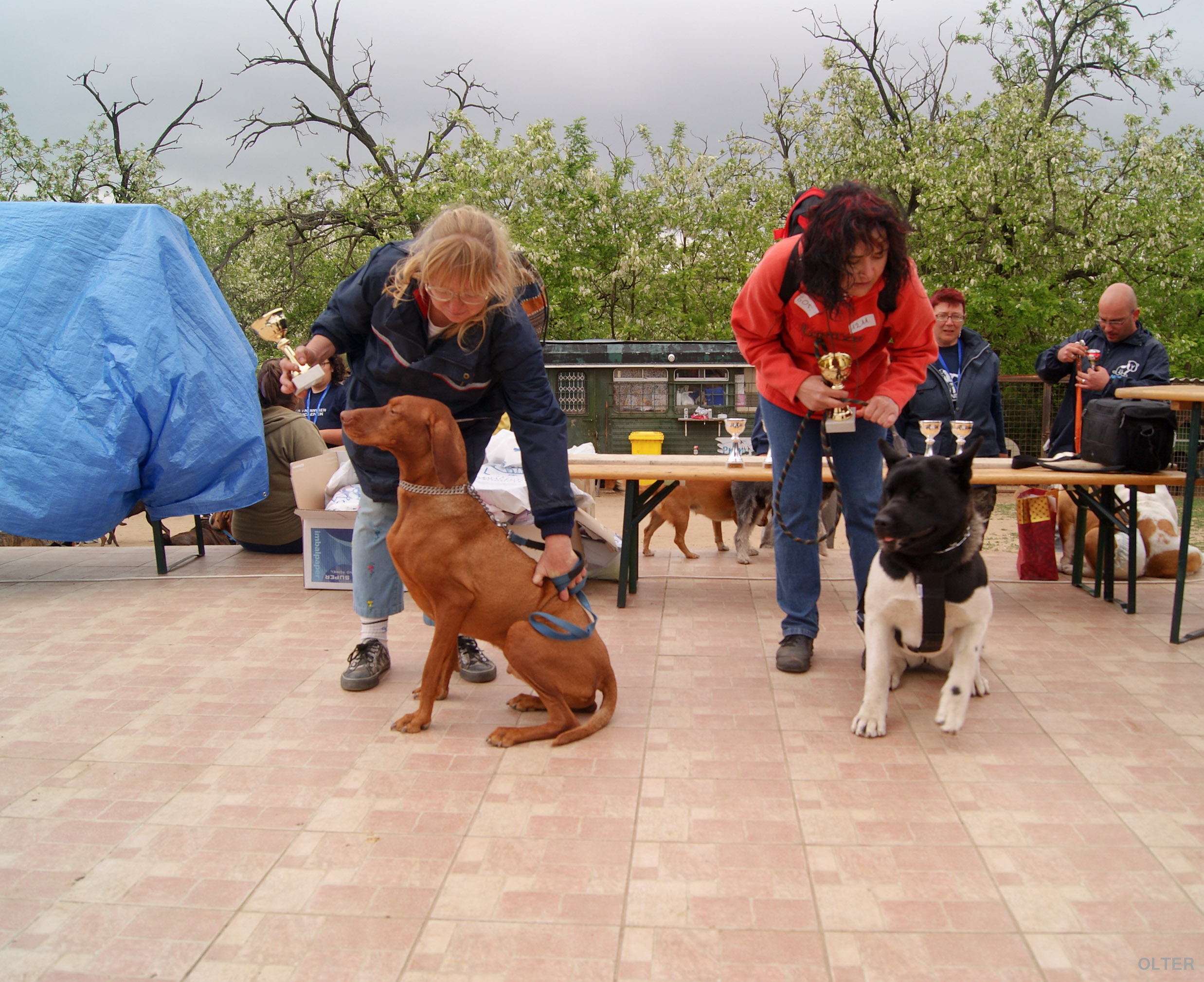 dsc01189.jpg