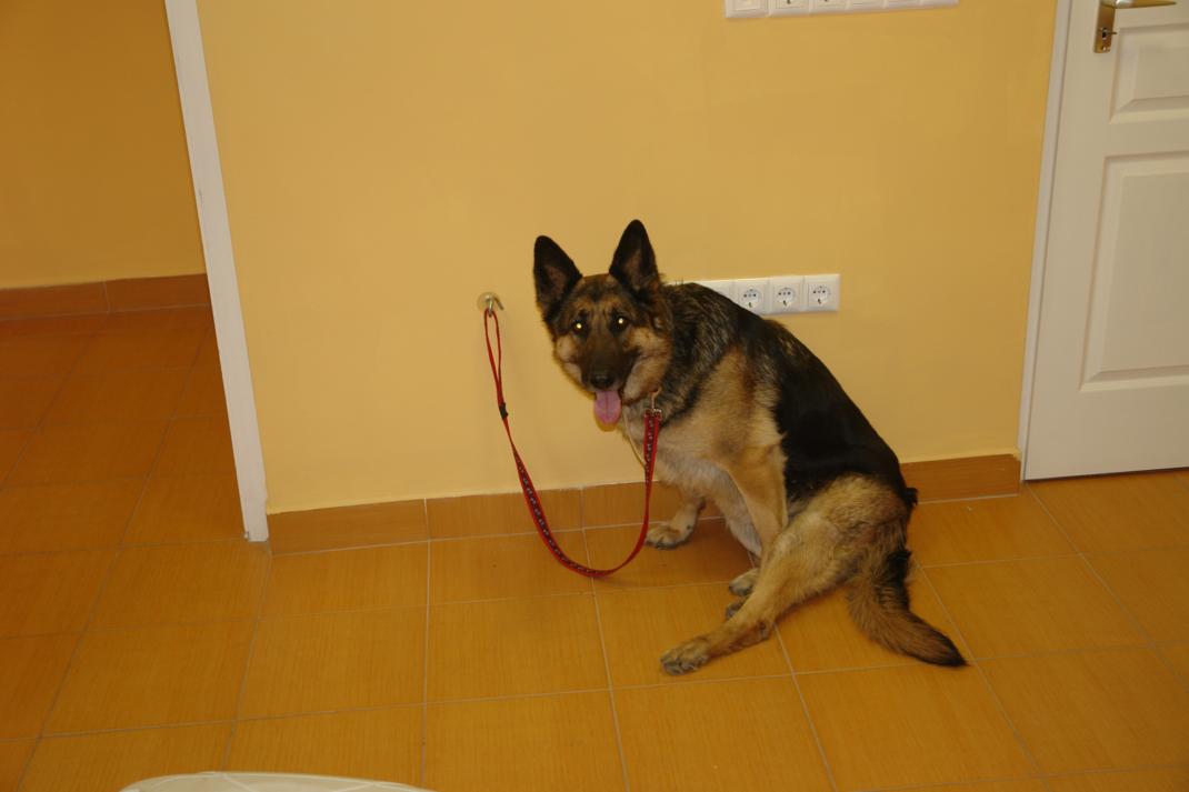 dsc01293.jpg