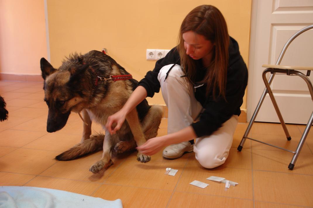 dsc01369_2.jpg