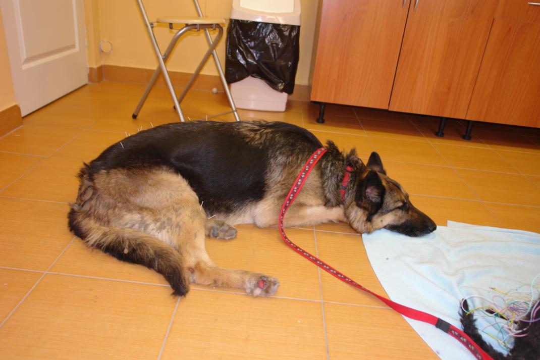 dsc01418_3.jpg