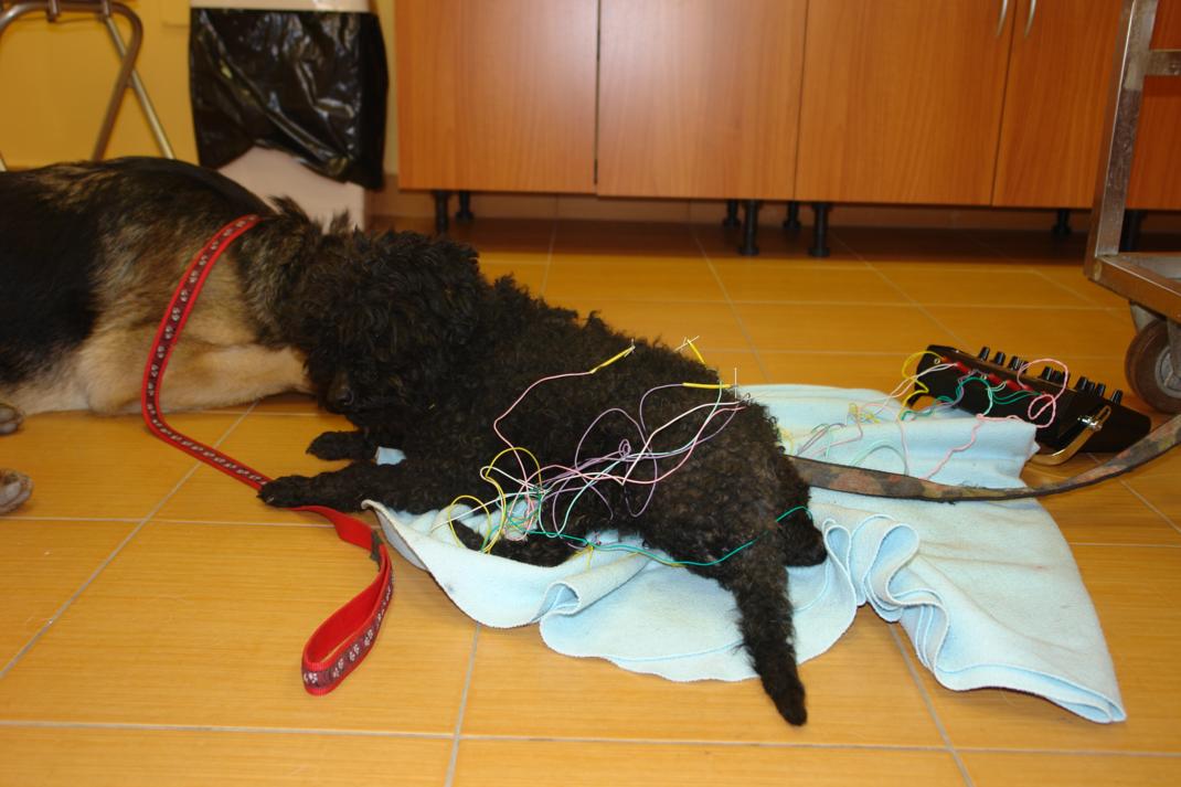 dsc01427_3.jpg
