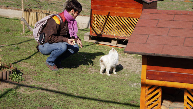 dsc06103_2.jpg