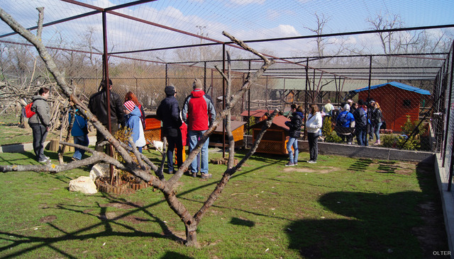 dsc06130_2.jpg