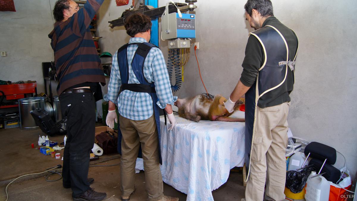 dsc06875_1200x674.jpg