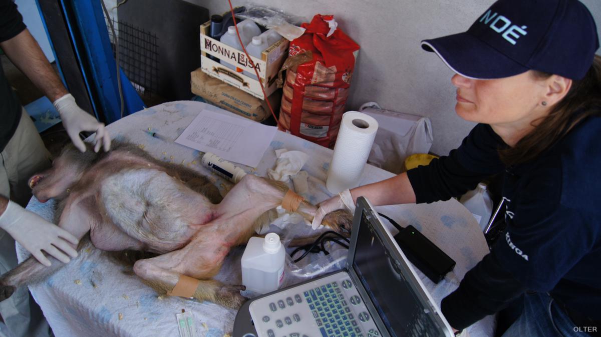 dsc06941_1200x674.jpg