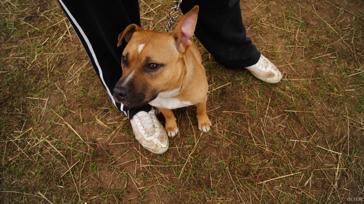 dsc07695_1200x674.jpg