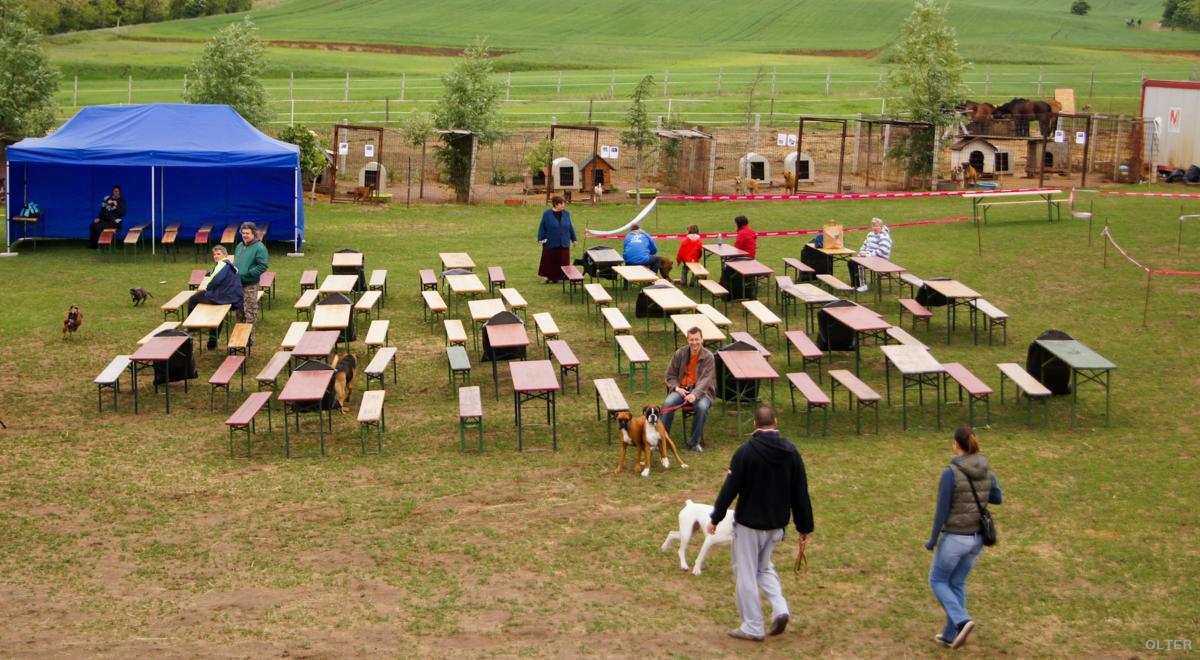 dsc08120_1200x660.jpg