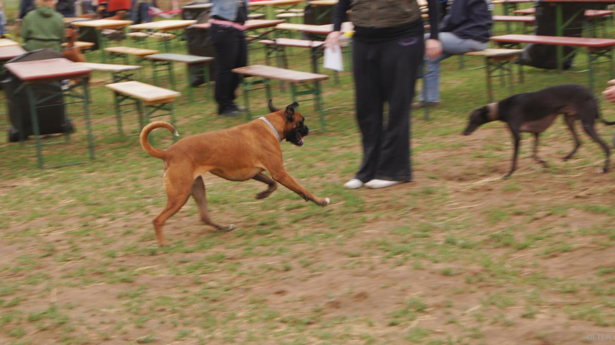 dsc08174_1200x674.jpg