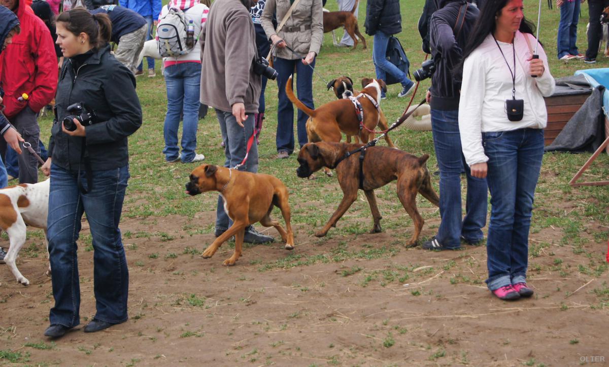 dsc08252_1200x724.jpg