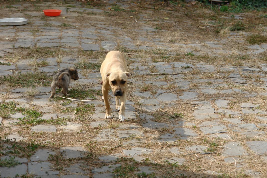 dsc08580.jpg